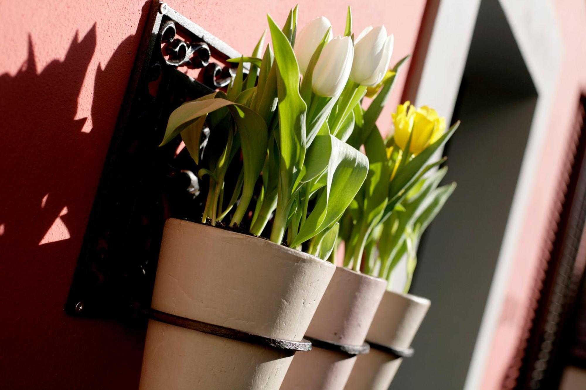 Bed & Breakfast Trovailtempo Milan