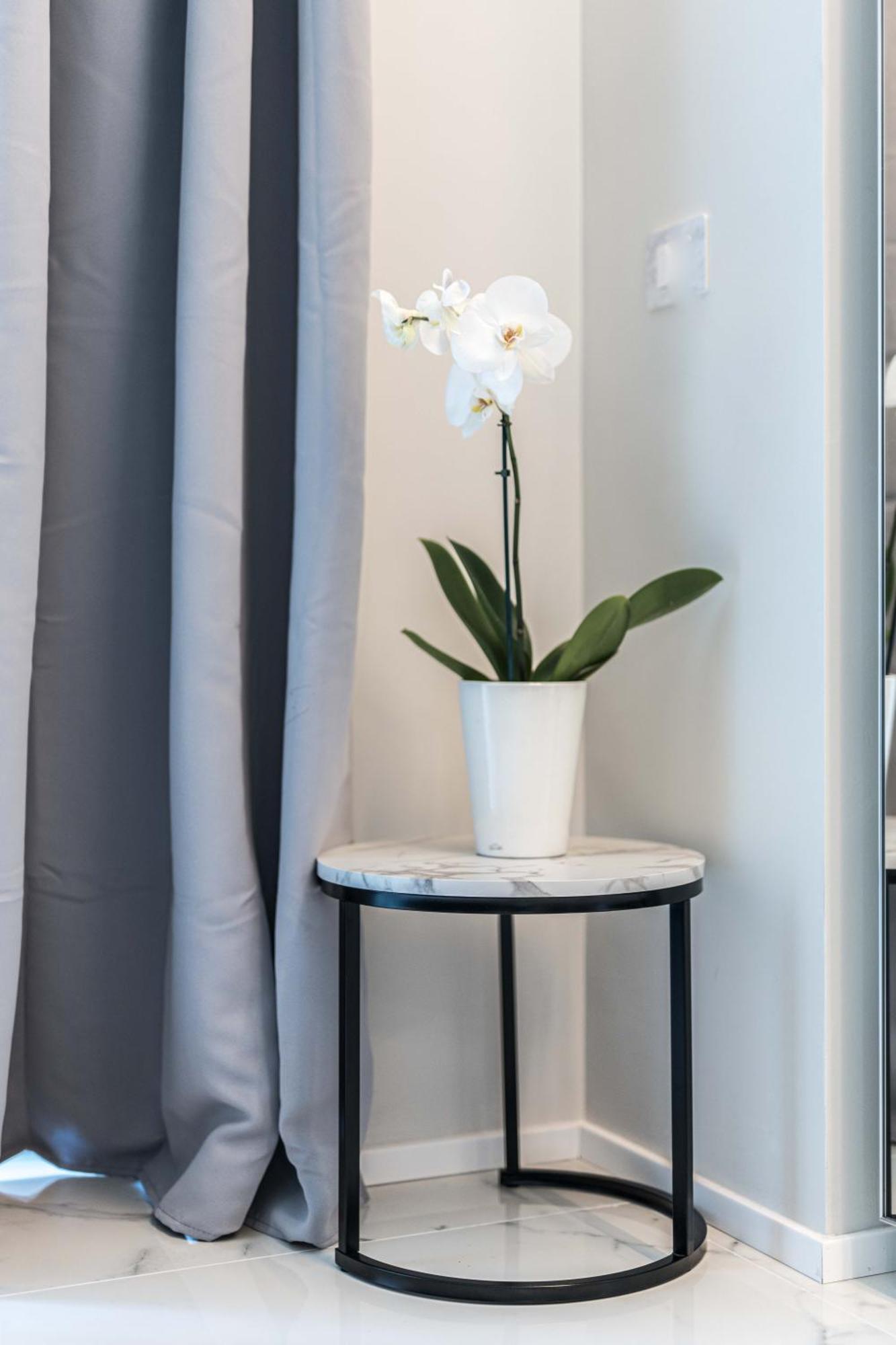 Moscova Luxury New Milan