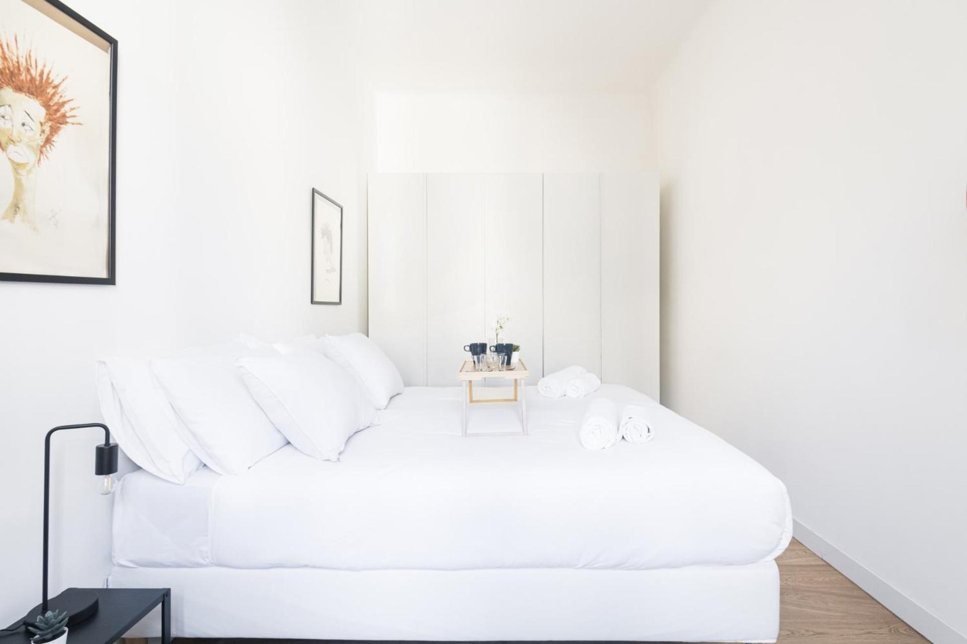 Apartment Easylife-luminoso In Zona Garibaldifs *
