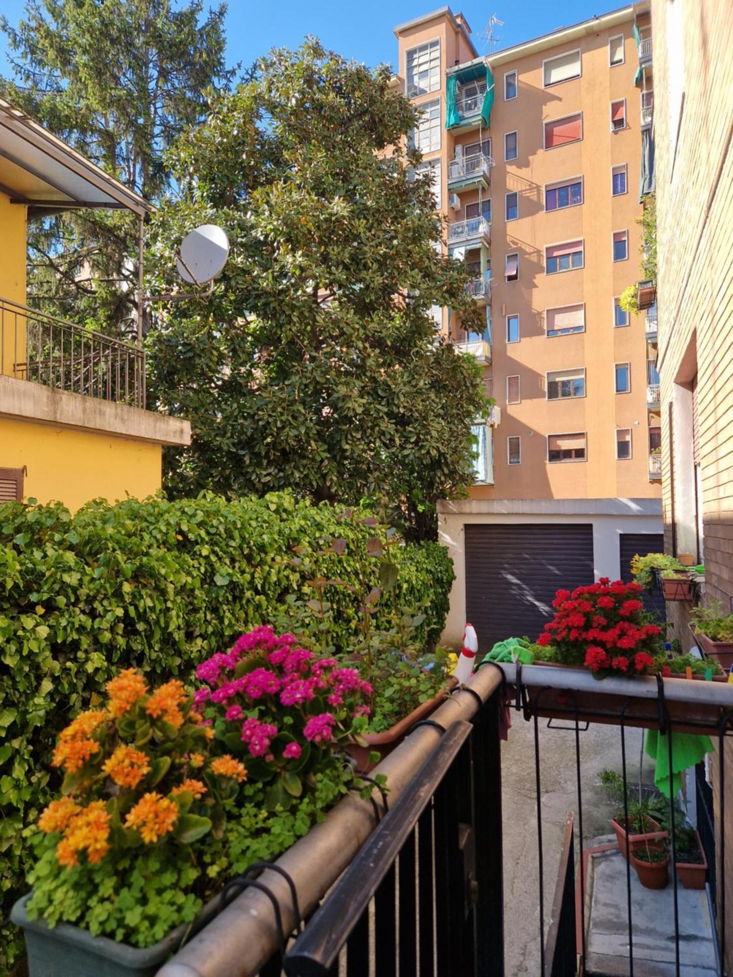 Luna Apartamento *