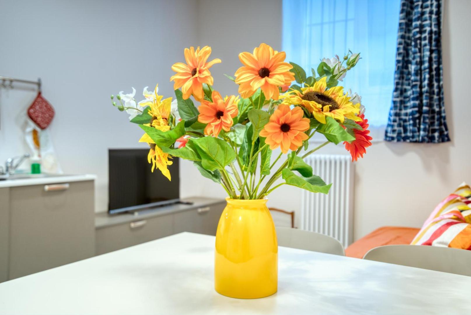 Apartamento Charlotte Bb House *