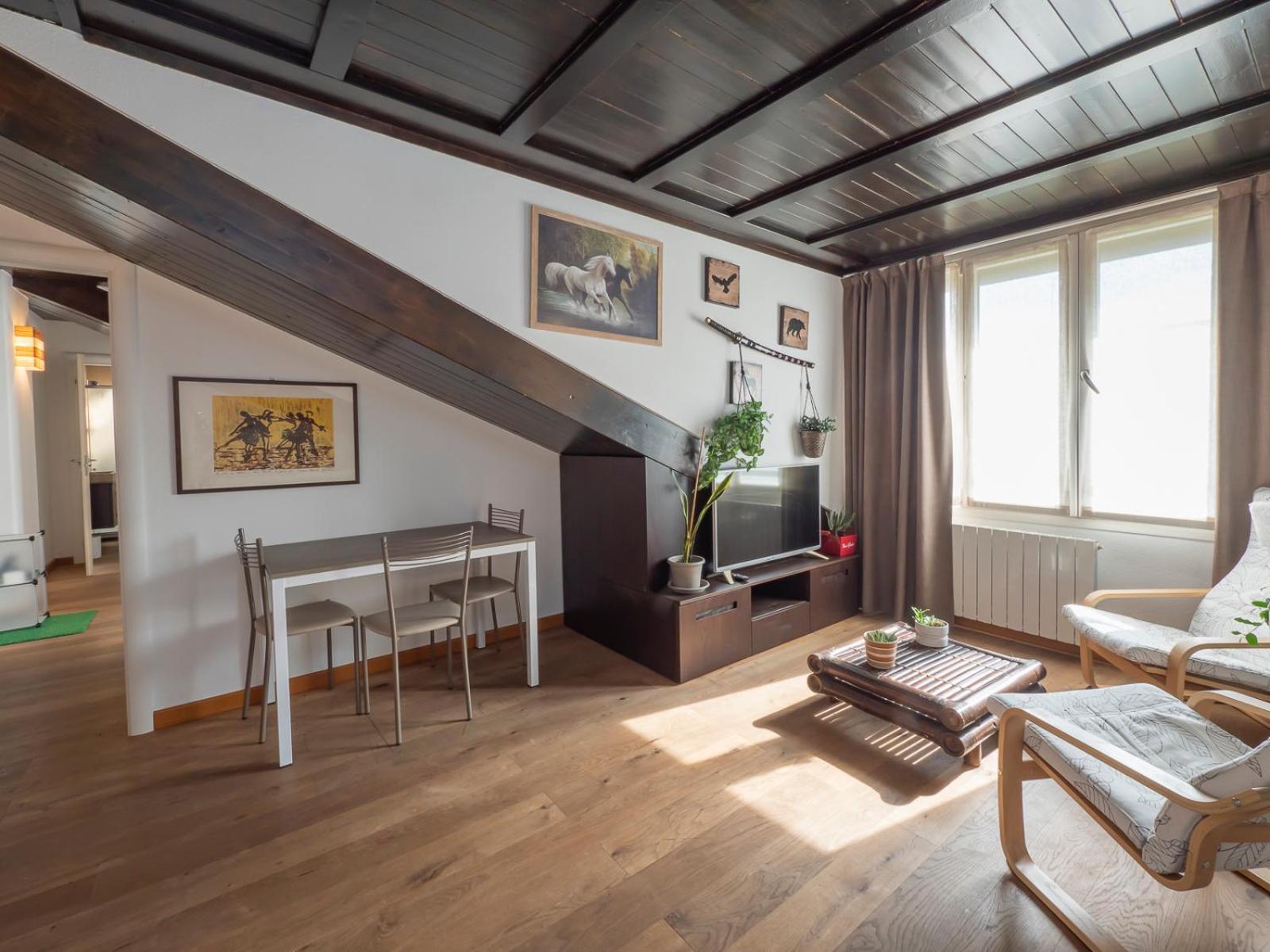 Xenia - Penthouse In Porta Venezia Apartment