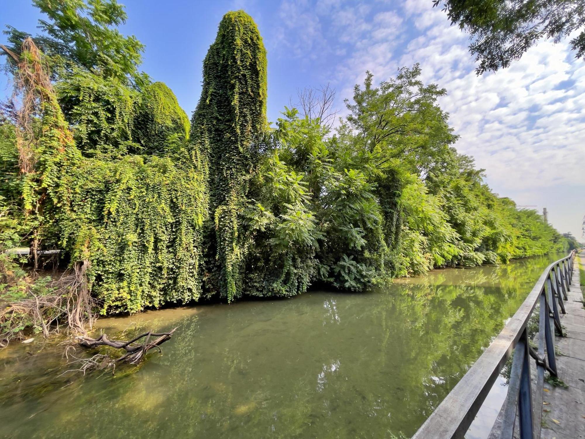 Best Way Rent - Beautiful On Naviglio Martesana Apartment