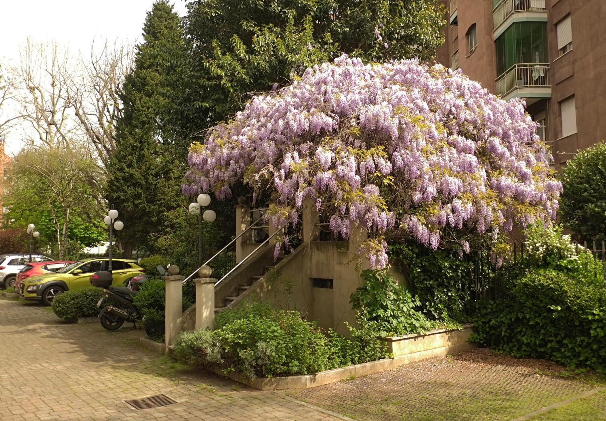 Best Way Rent - Beautiful On Naviglio Martesana Apartment *