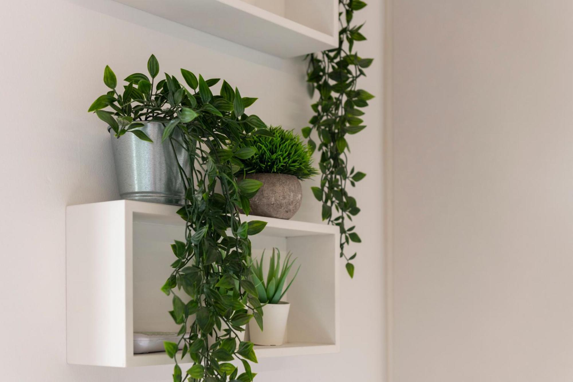 Apartamento Fenix *
