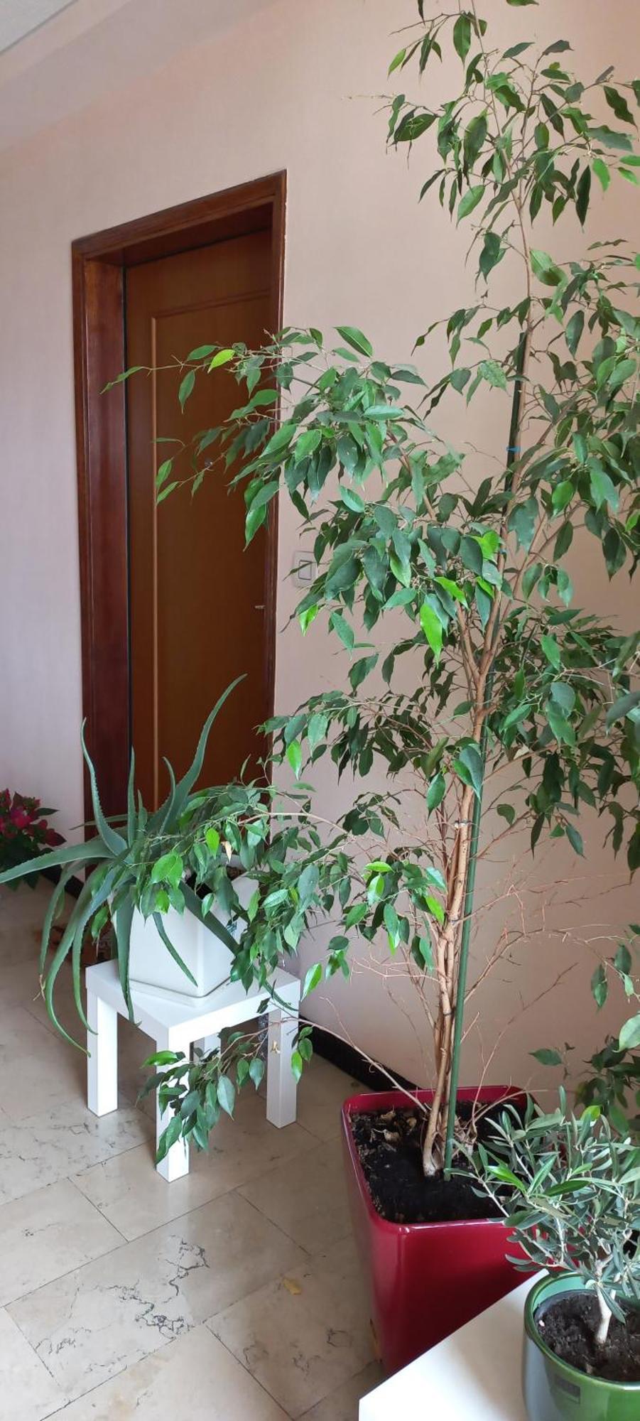 Apartamento Casamia Tra Navigli E Universita - Free Parking Milão