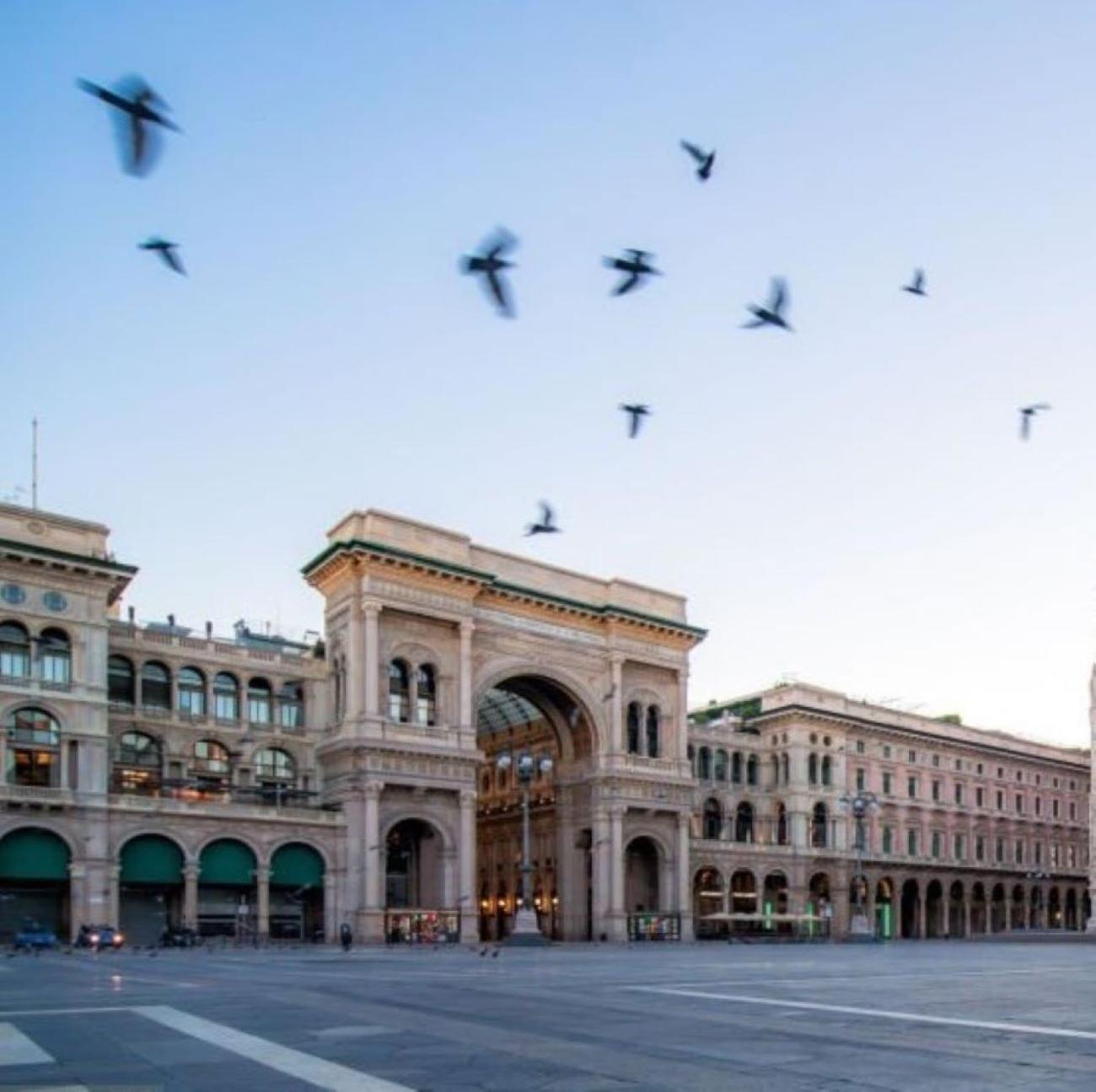 Elite * Milano