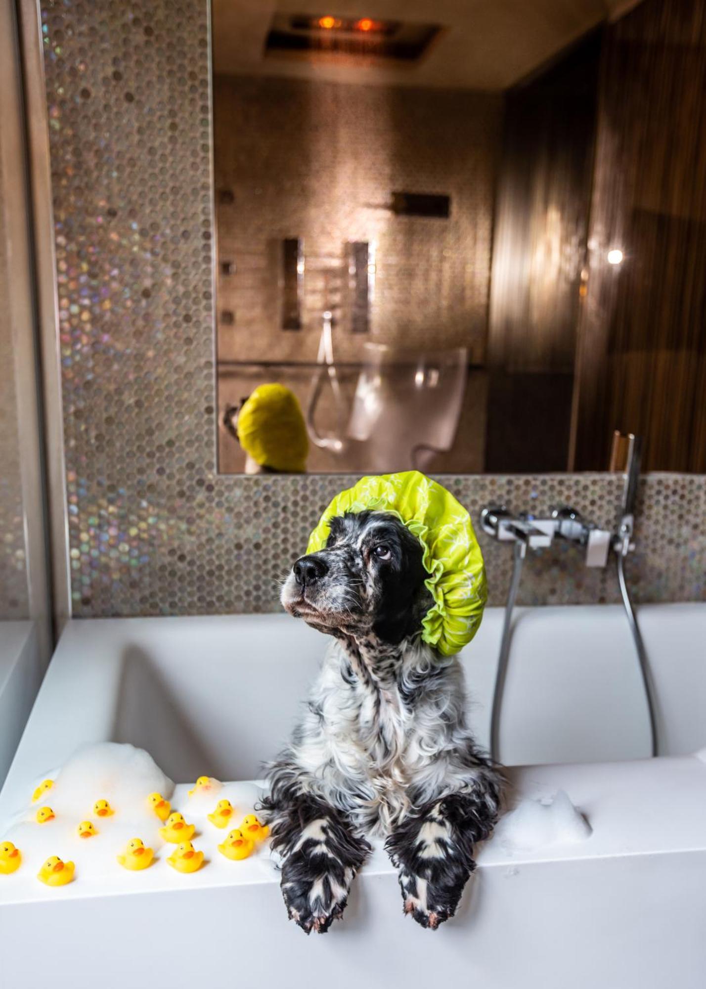 Milan Suite Hotel