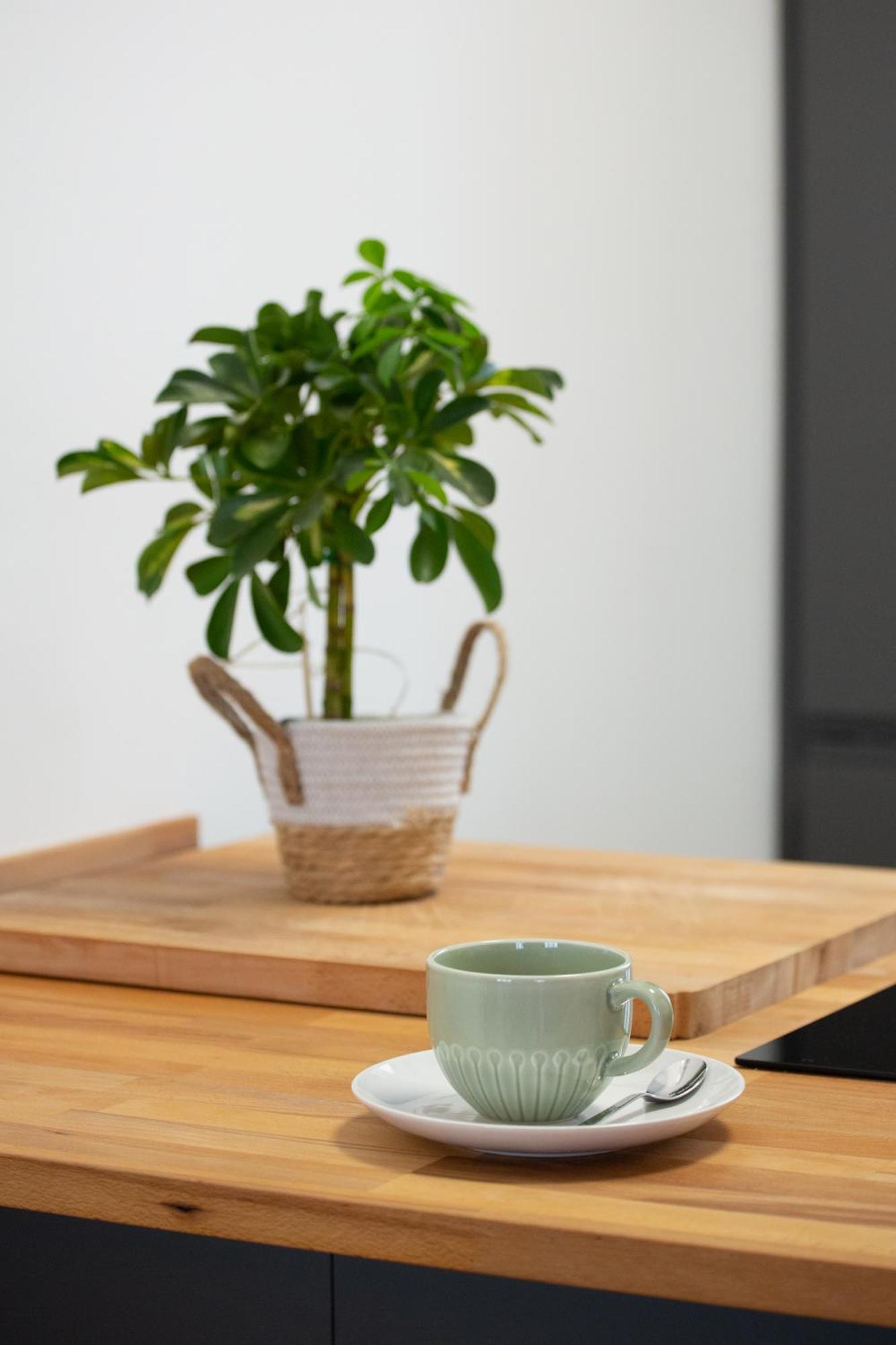 Apartment Design Lab - New Exclusive *