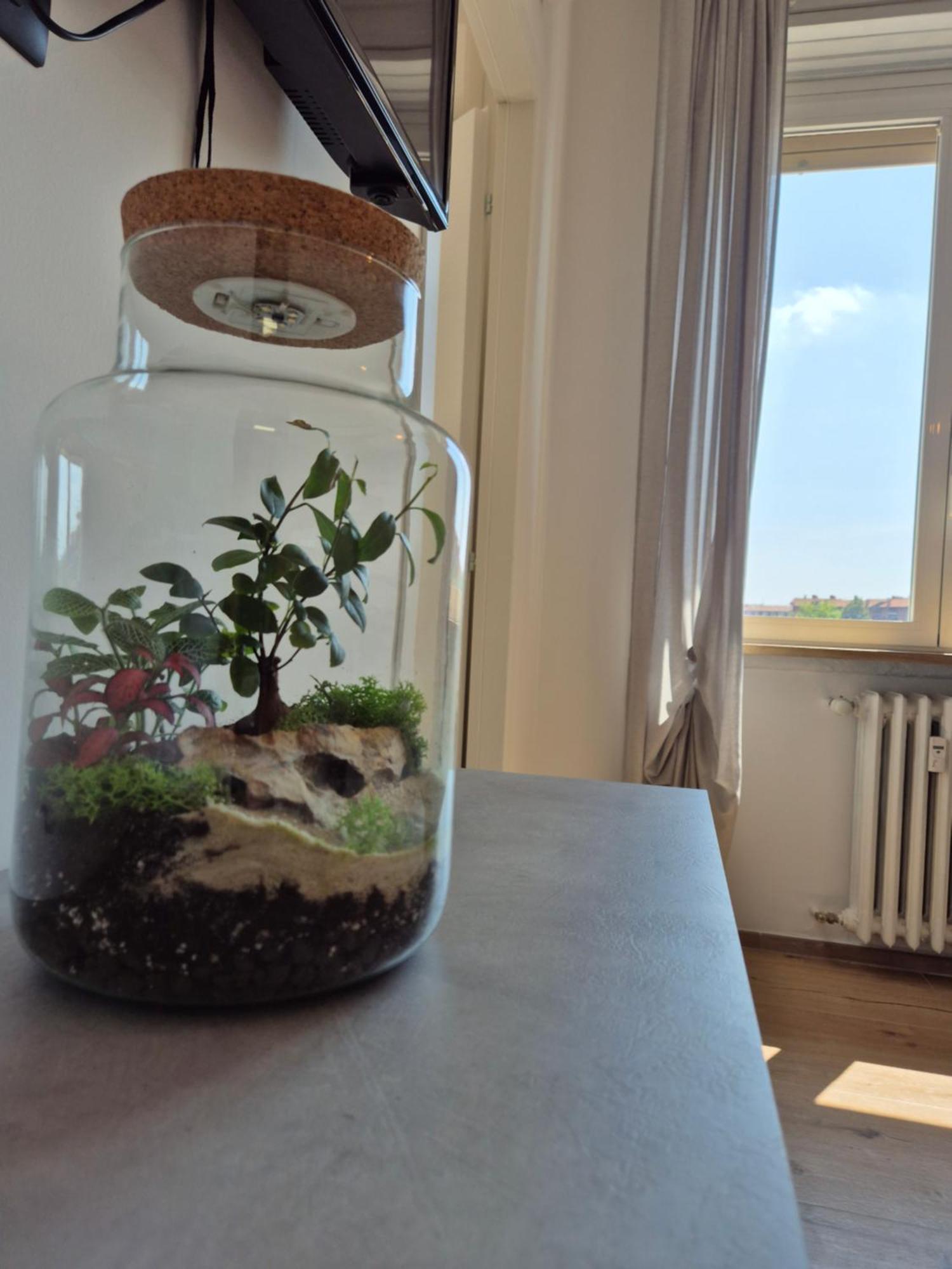 Apartment Casa 104