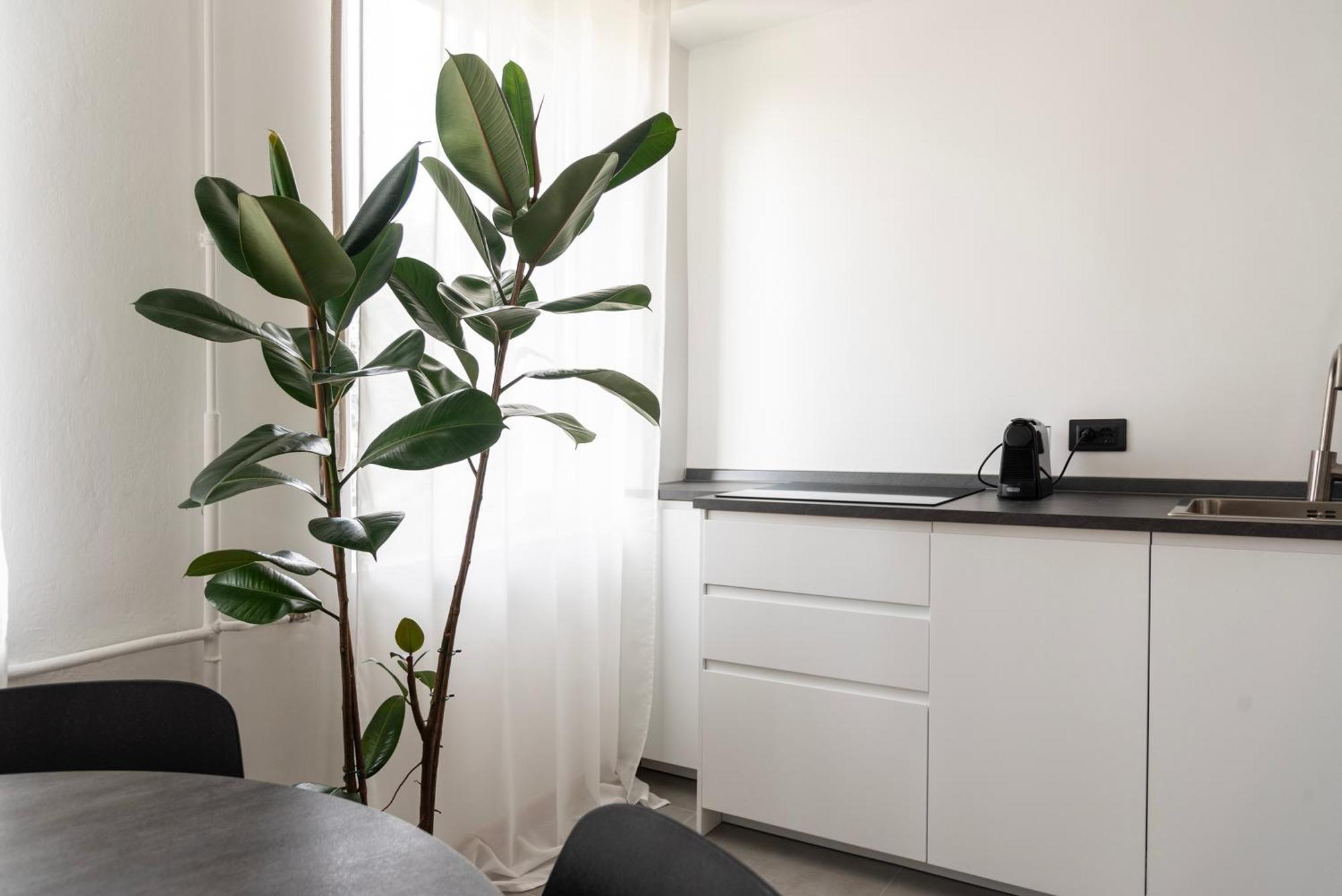 Youhosty- Terragni 31 Apartment Milan