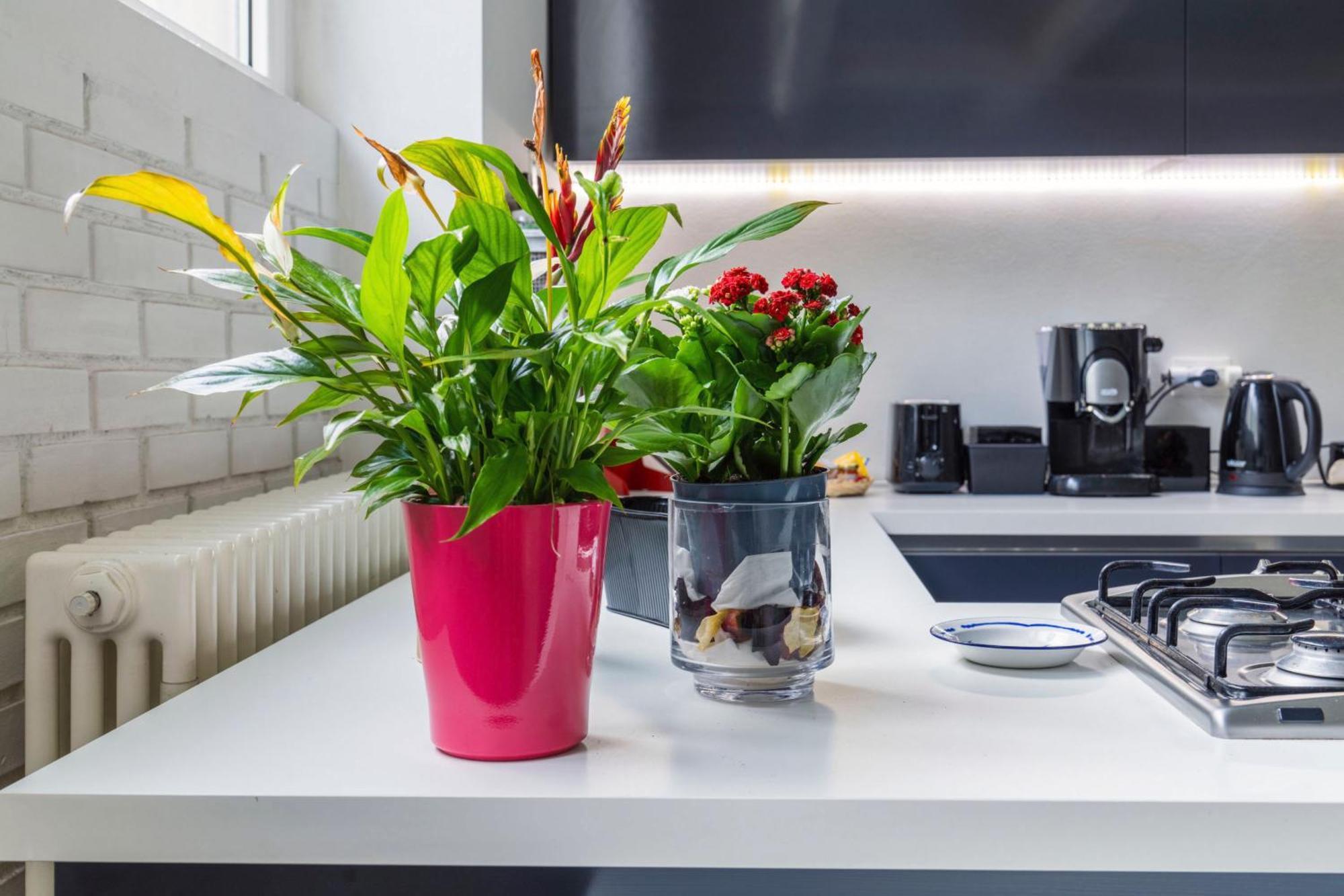 Holiday home Glass Loft Milan