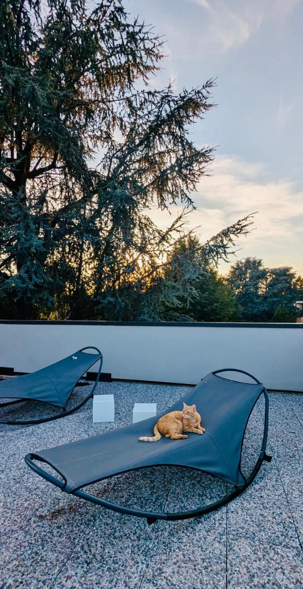 Bed & Breakfast The Luxory Cat