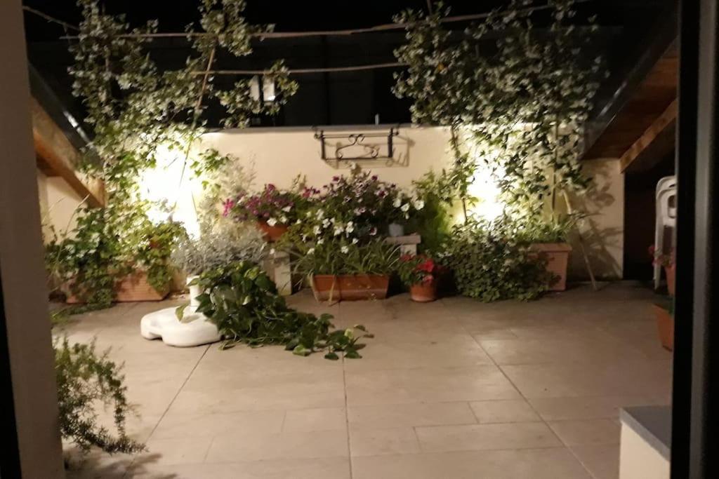 Mansarda Con Terrazzo Centralissima Apartment