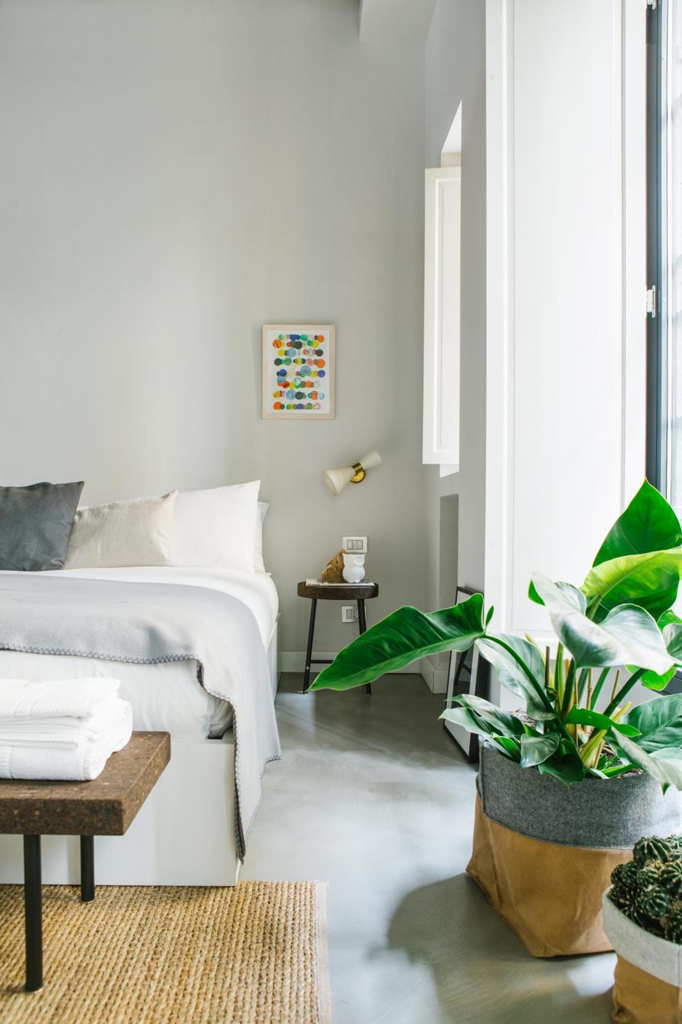 Greenhouse By Costanza Apartment *