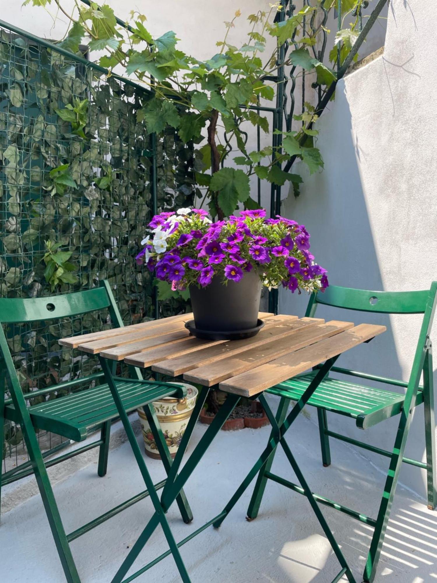 Grazioso Monolocale Apartamento *