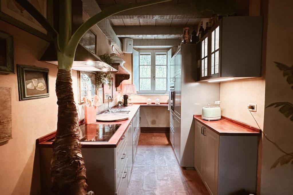Apartment Con Giardino Privato E Sauna *