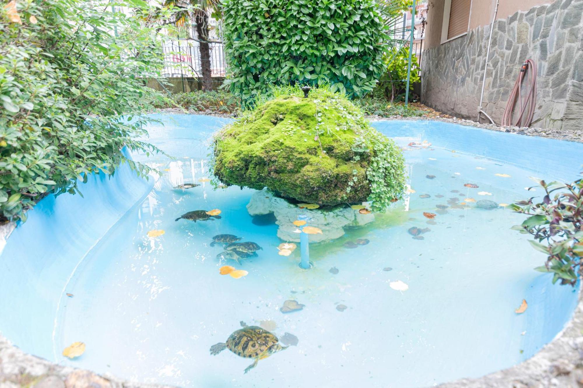 Apartment Luxury - Valassina 45 Milan