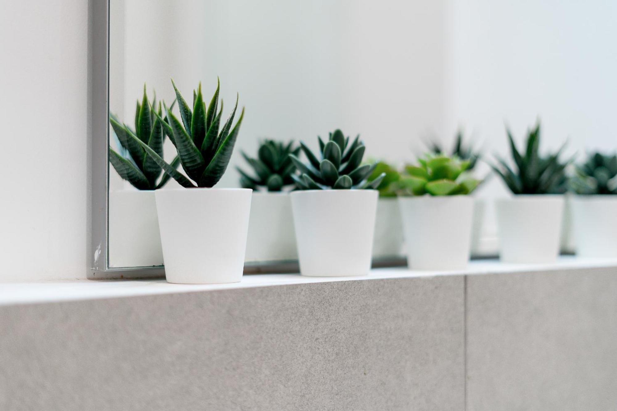 Urban Studio, Politecnico-lambrate Apartment Milan