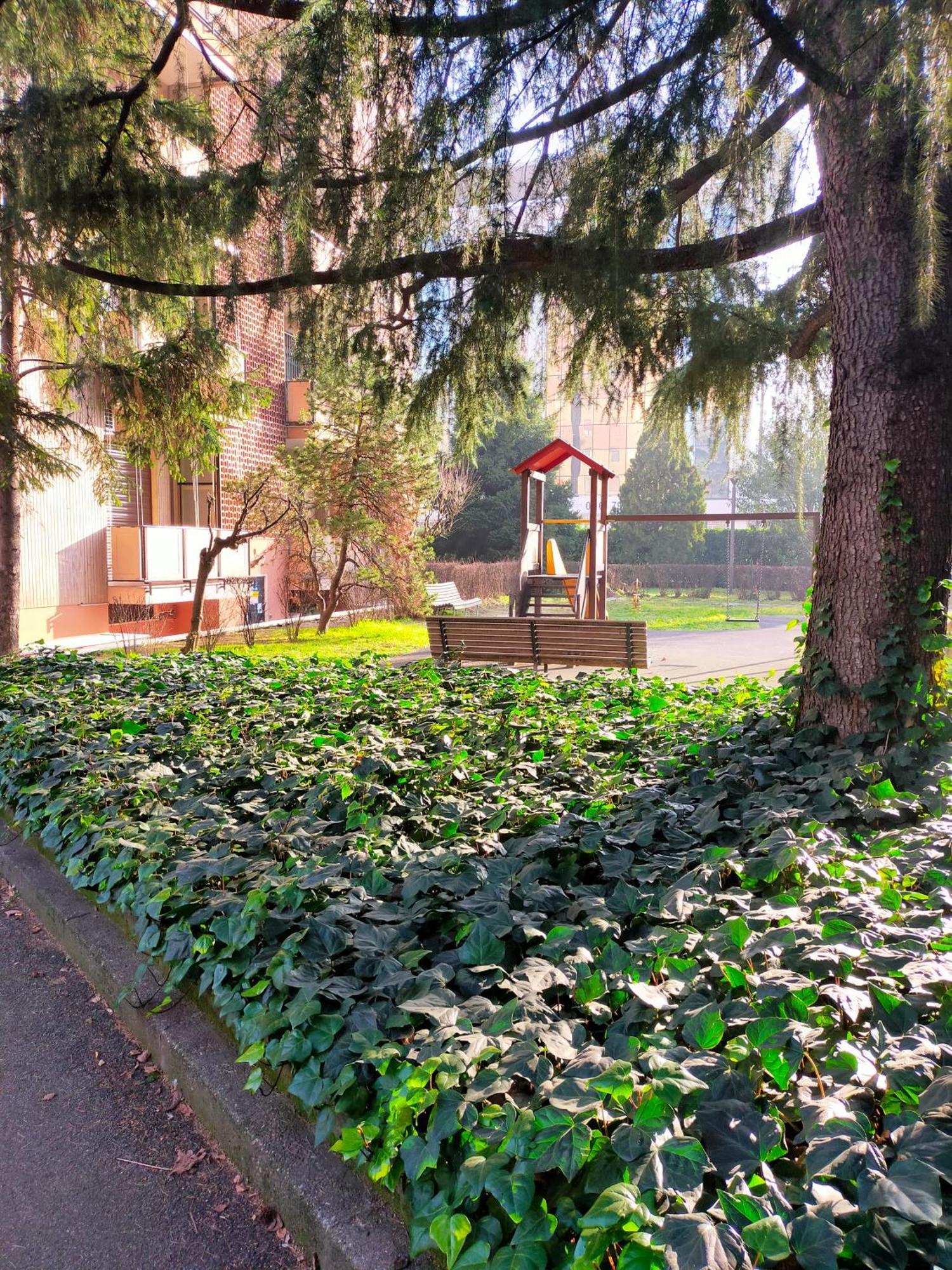 Bed & Breakfast Bicocca Di Lusso