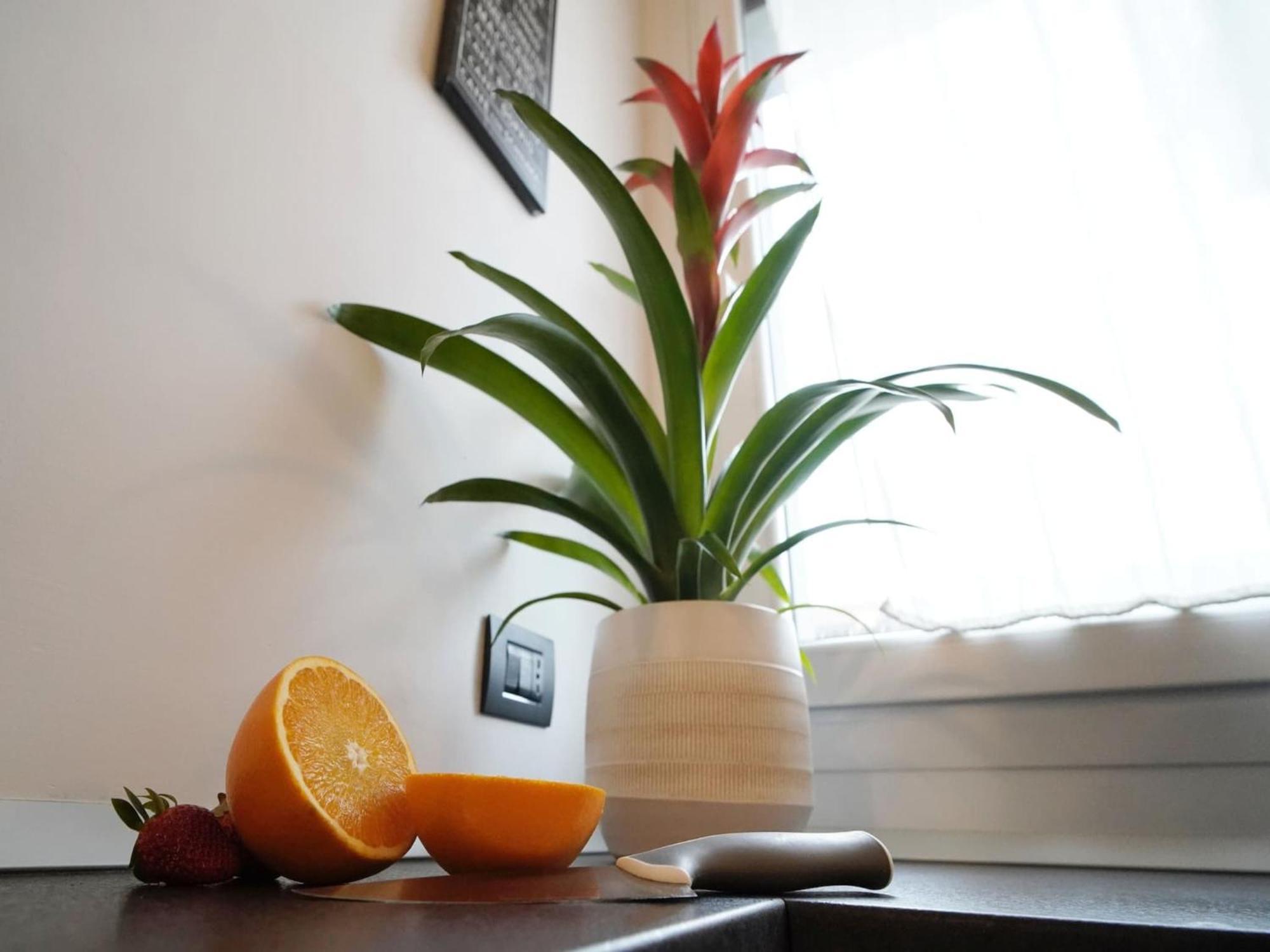 Candiani A1 Monolocale Apartment *