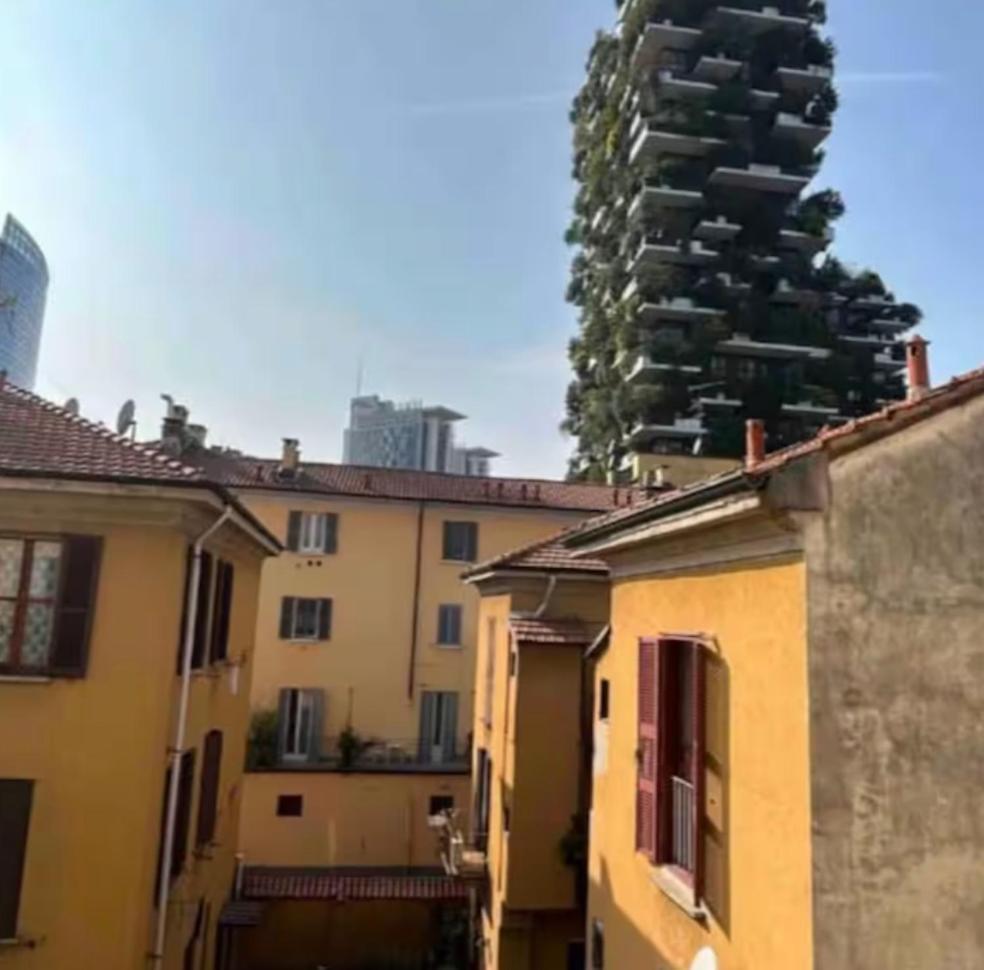 Sottoboscoverticale