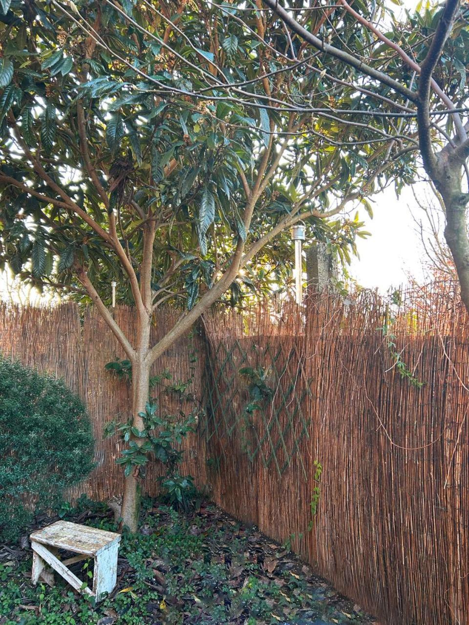 Guest house With Terrace And Loft With Garden In Naviglio Pavese Milan