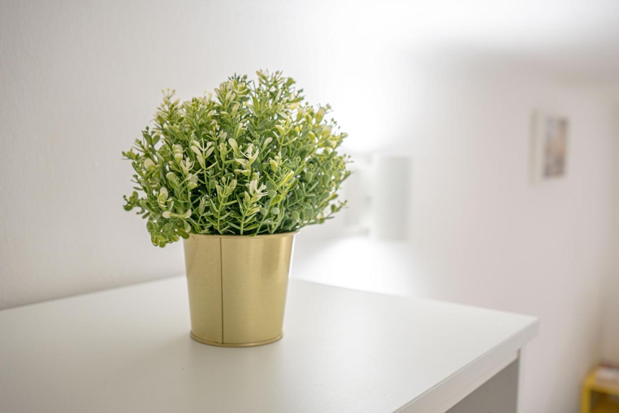 Apartment Metro Yellow