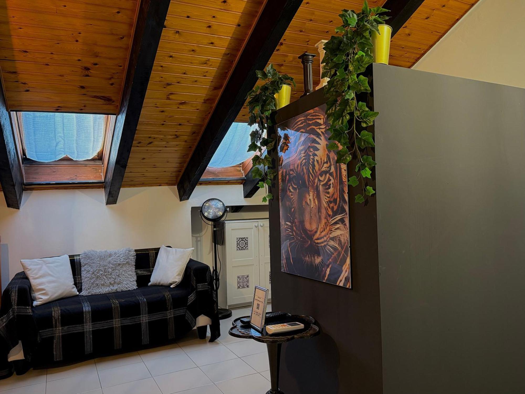 Hosting Dreams Attics - Duomo Apartment