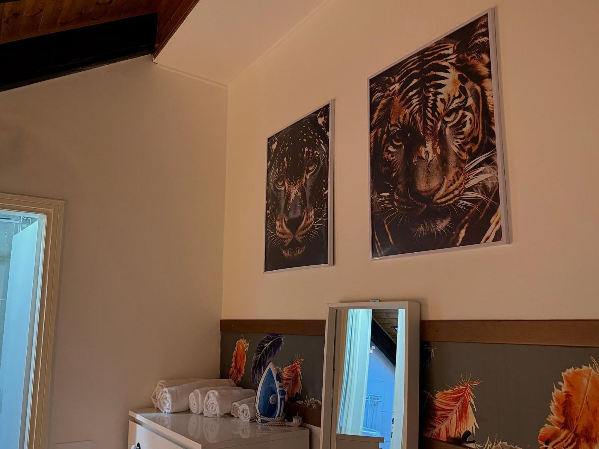 Apartment Hosting Dreams Attics - Duomo Milan