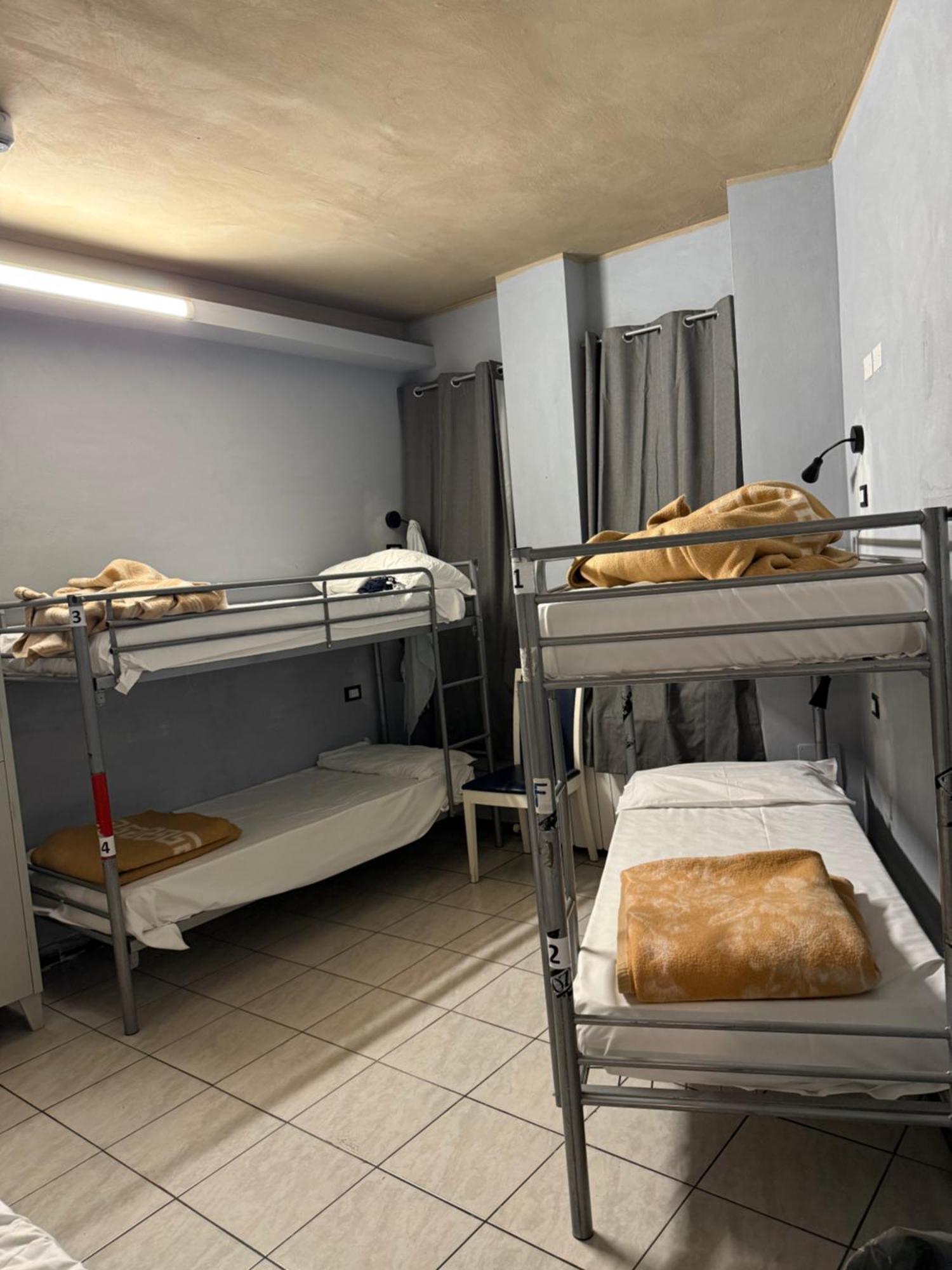 Lion University&youth 2 Guest house
