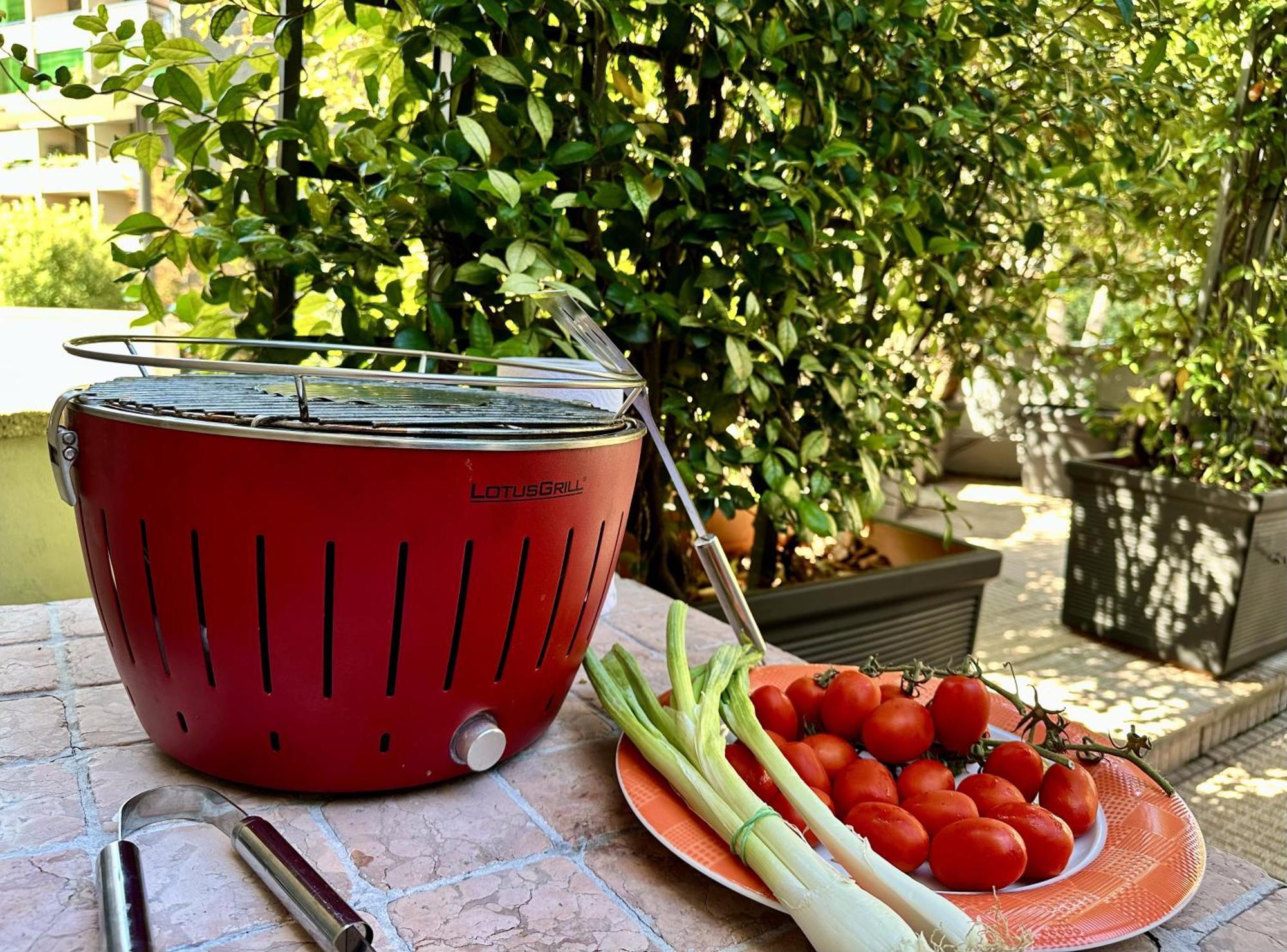 Deluxe Multispace With Terrace * Milan