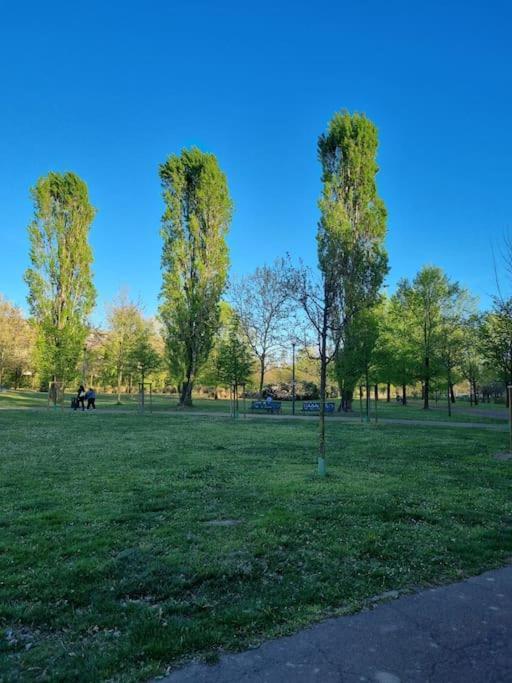 Apartment Lambrate Charming Vicino A Aeroporto Linate Metro4 E Ospedale San Raffaele Milan