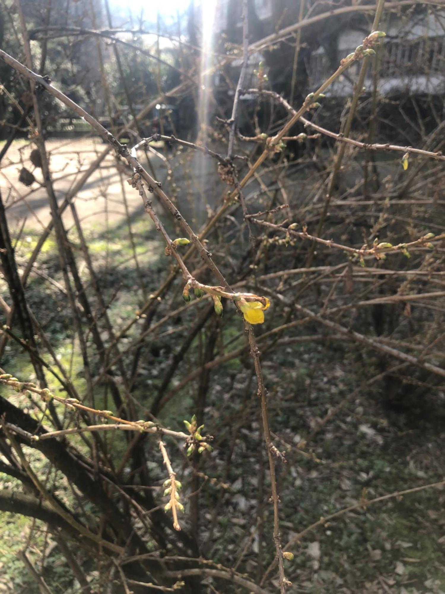 Missori Rose Garden View Apartment Milan