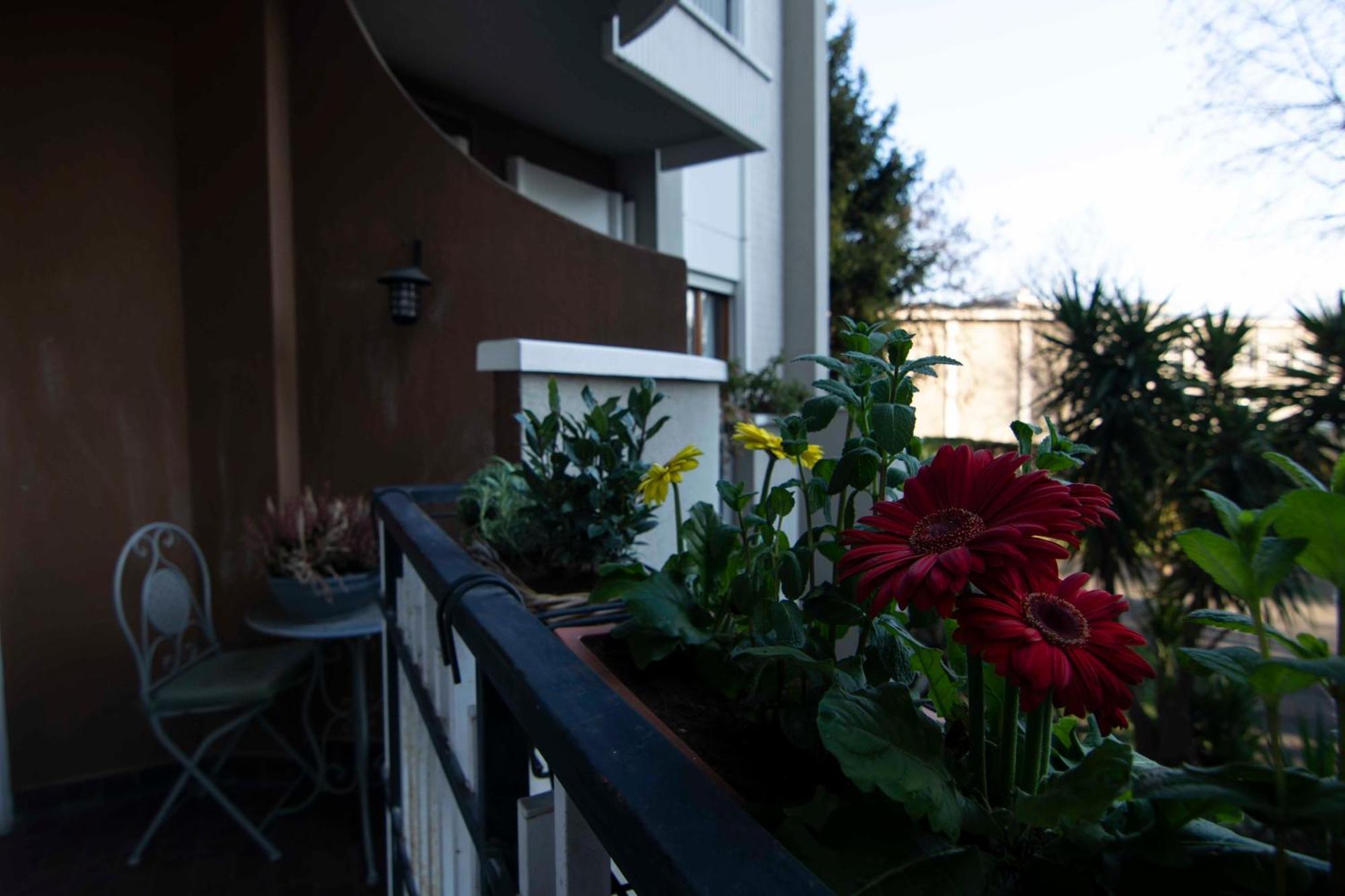 Apartment Oasi Di Serenita - Bilocale Silenzioso Con Affaccio Sulla Natura Milan