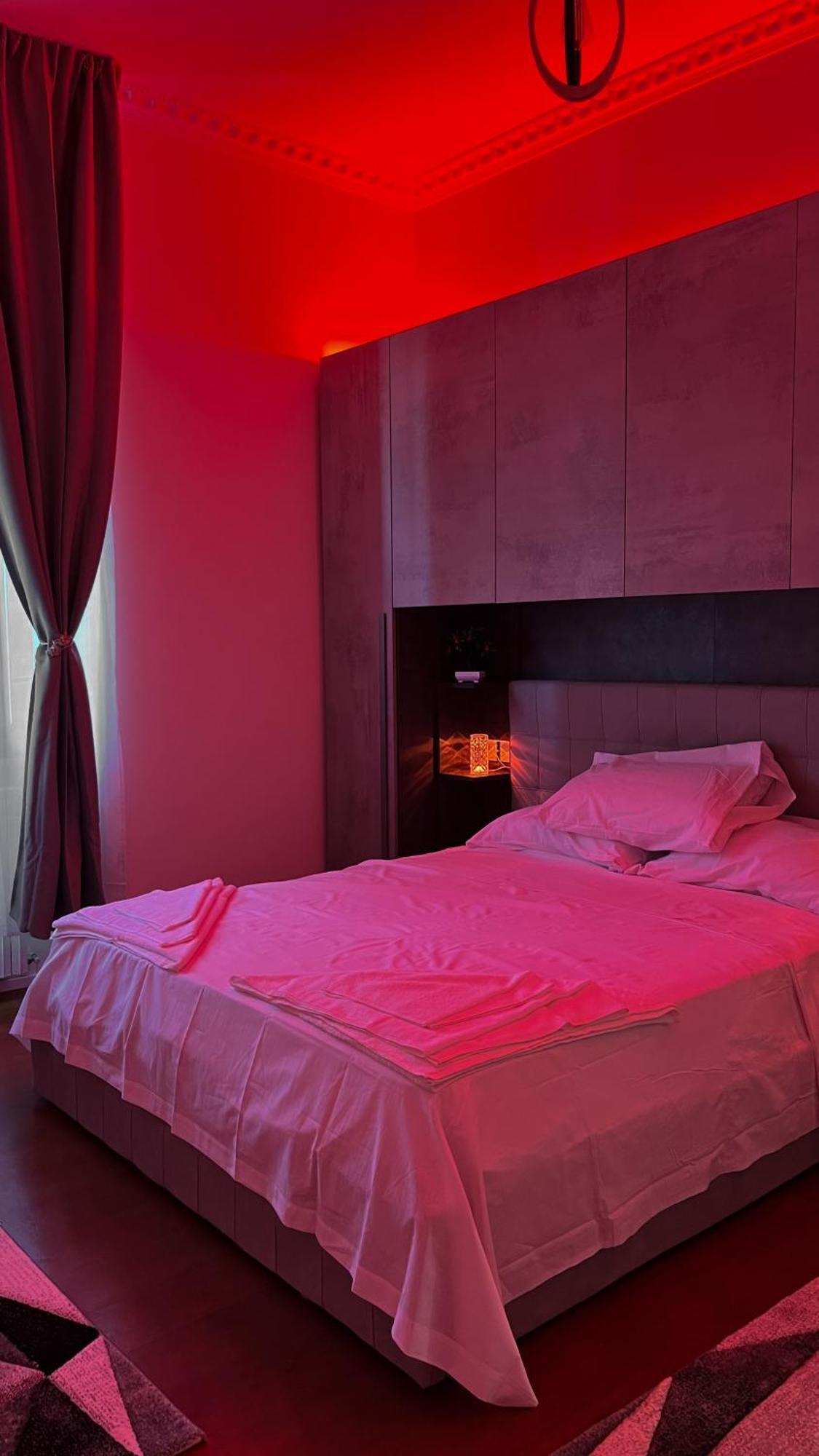 Apartment Comfy In *