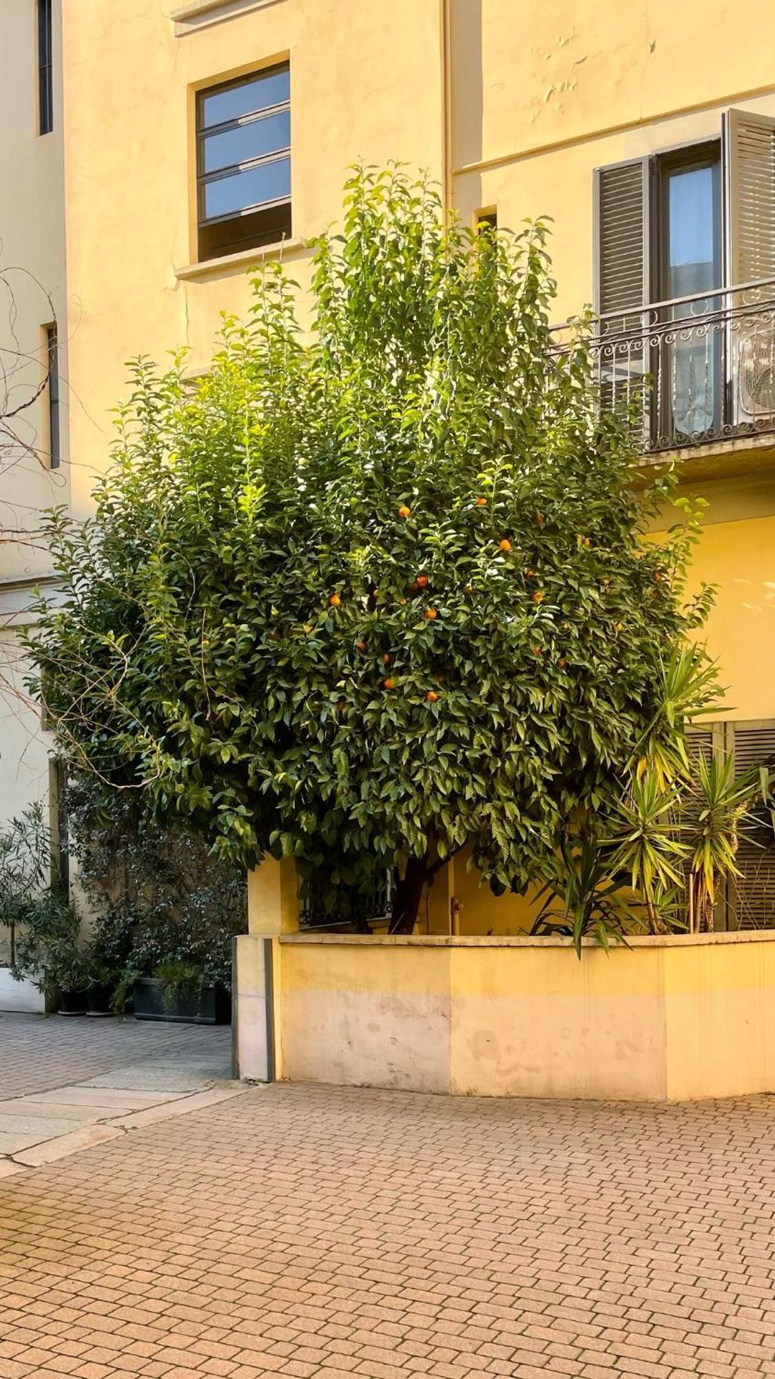 Apartment Beco Porta Venezia Luxury Loft *