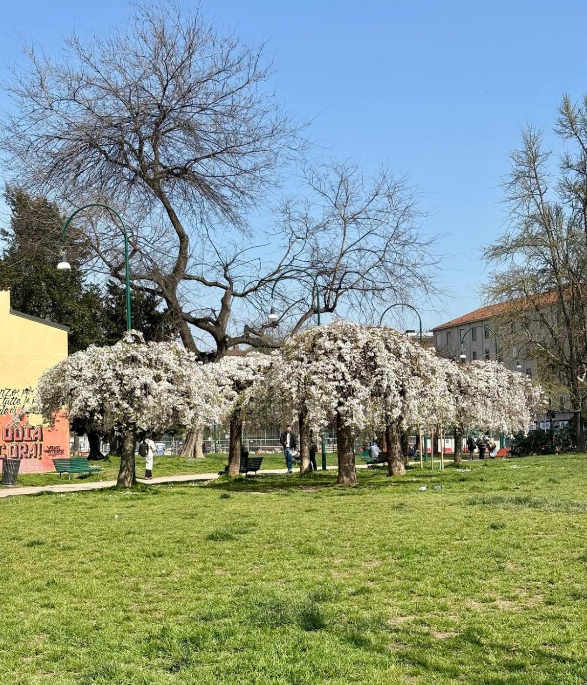 Historic Center Flat- Duomo 10m-m4 Vetra Apartment *
