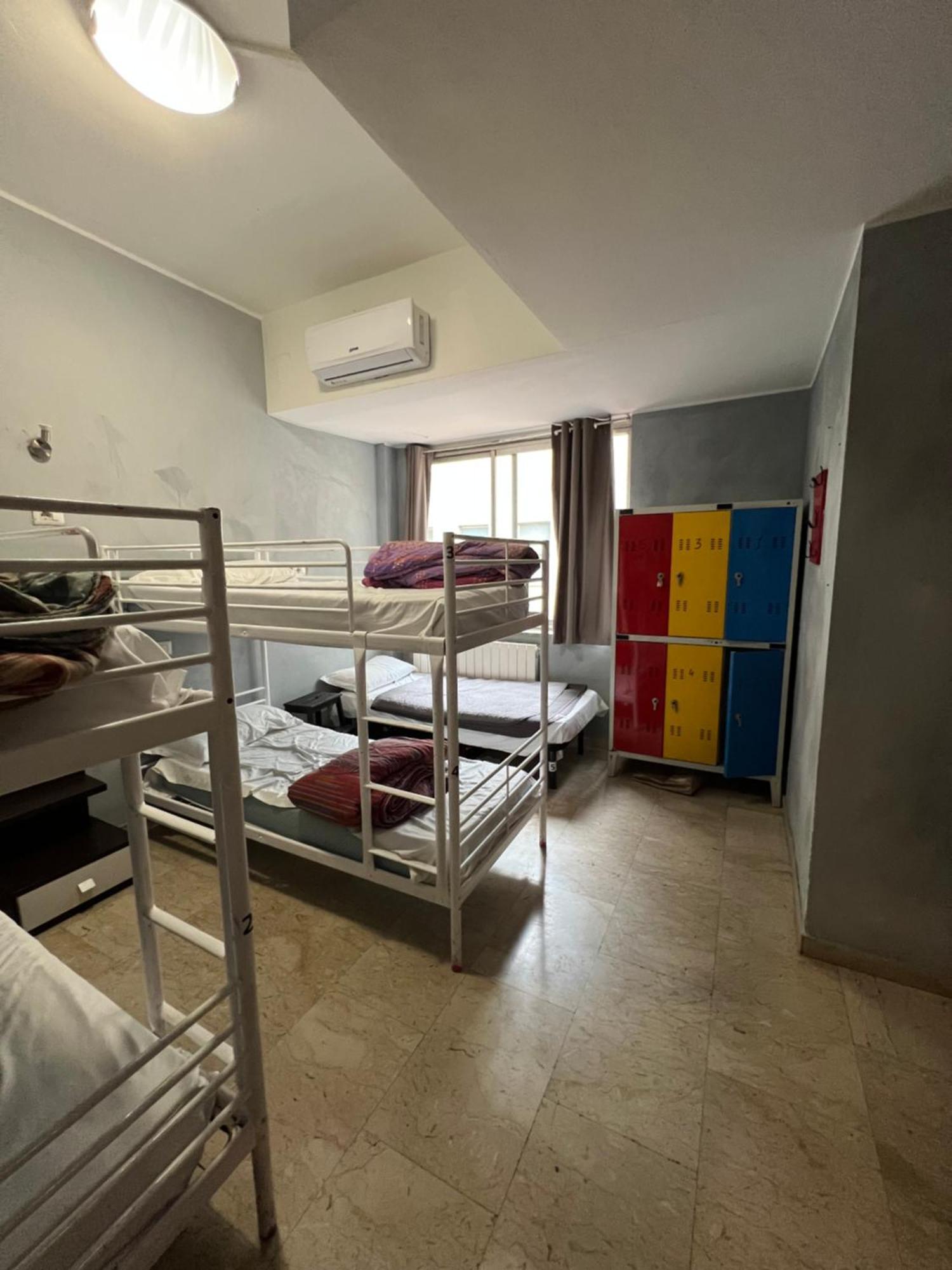 Lion & Youth Hostel *