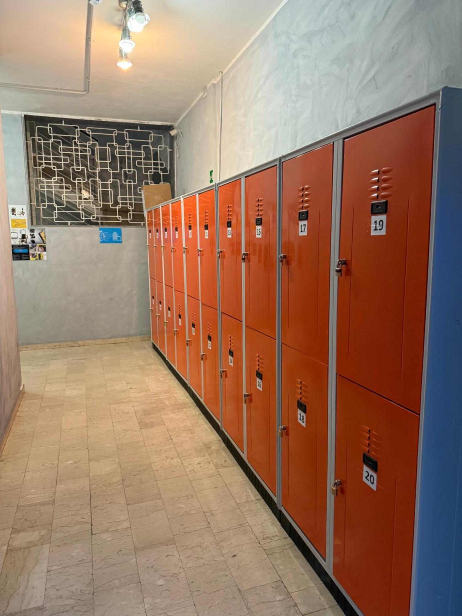 Lion & Youth Hostel