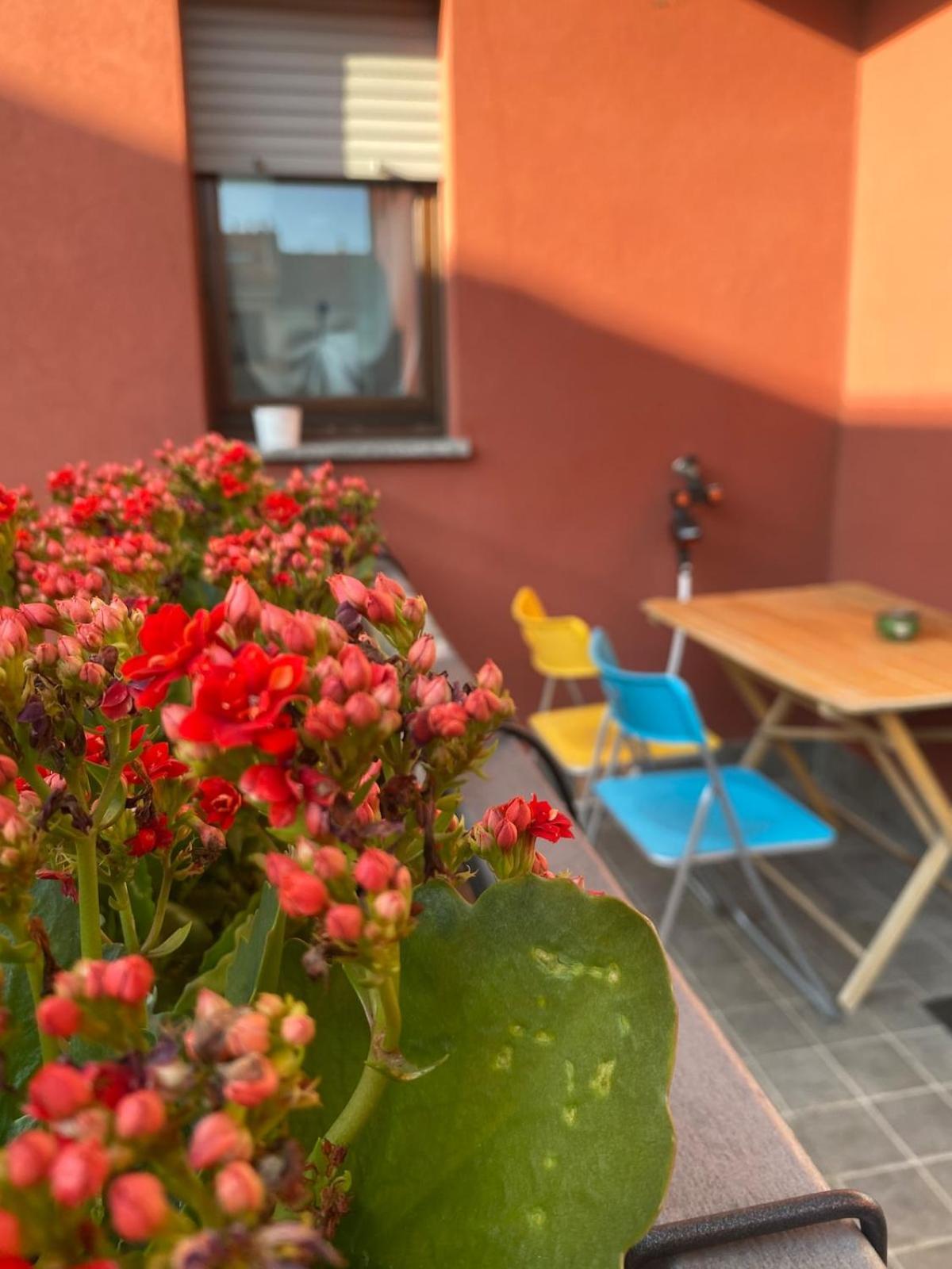 Luce Place Authentic Getaway Apartment Milan