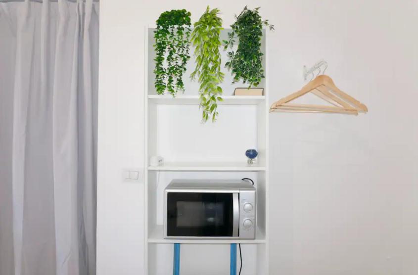Central Apartment Apartment *