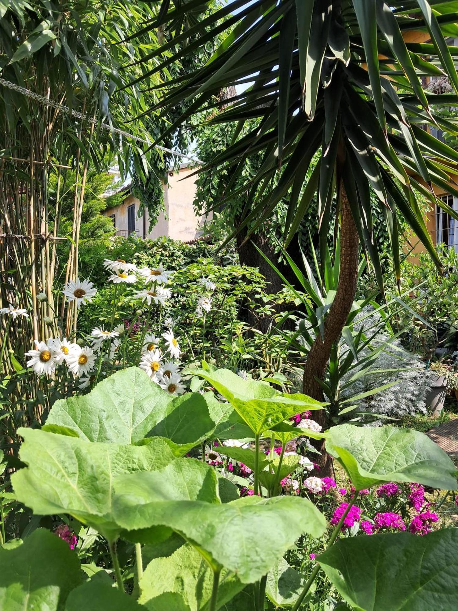 Homestay With A Garden