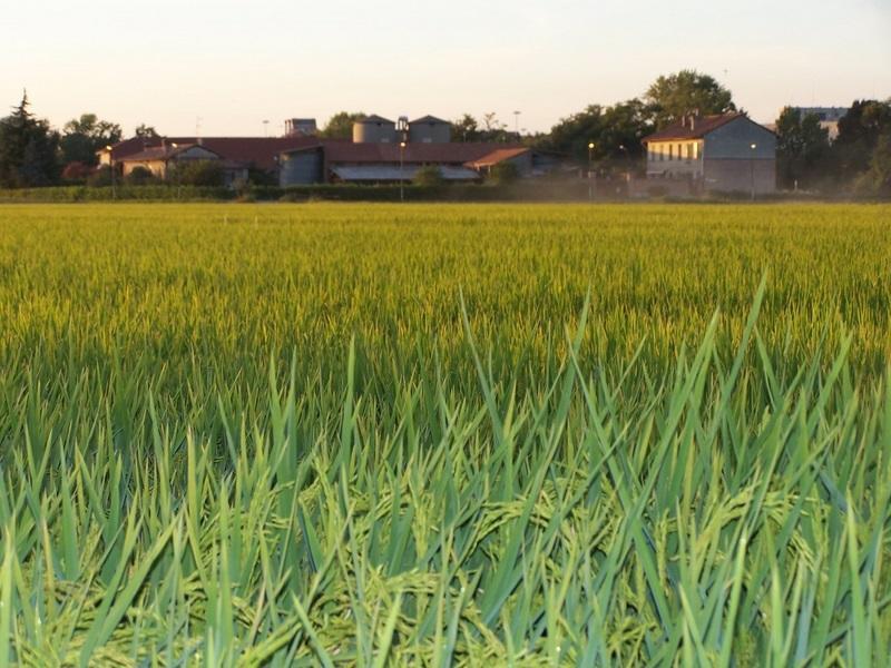 Farm stay Cascina Battivacco