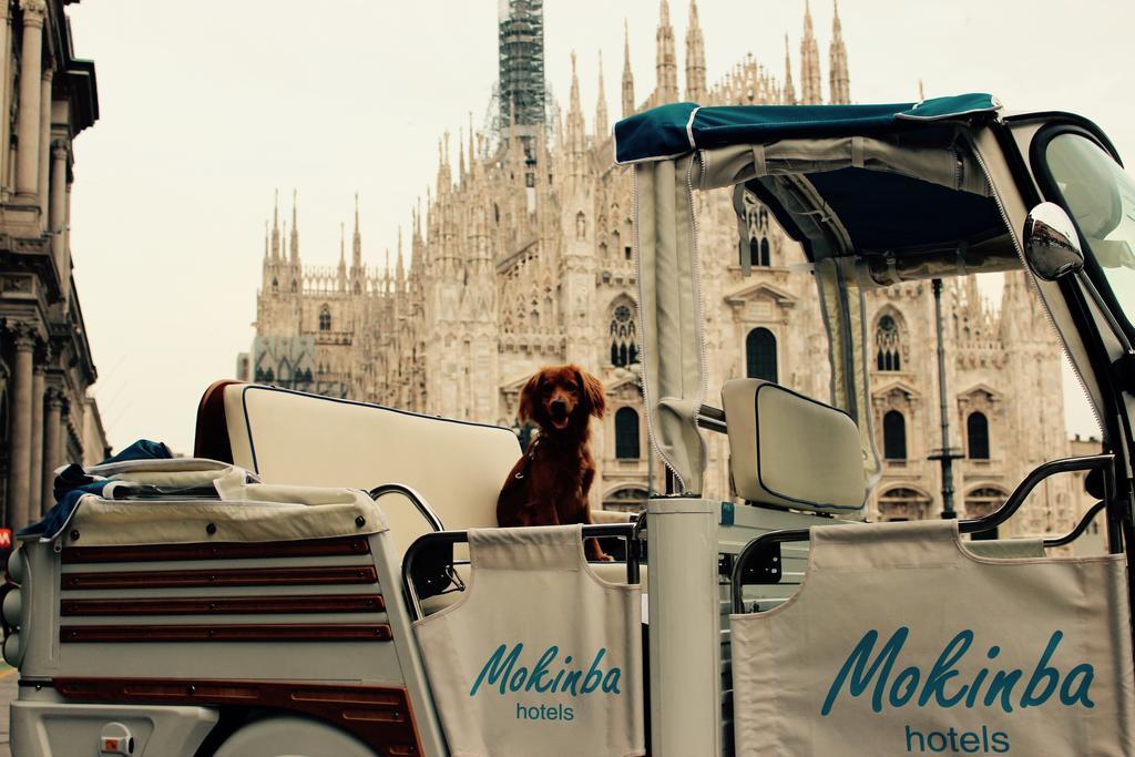 Mokinba Montebianco Milan