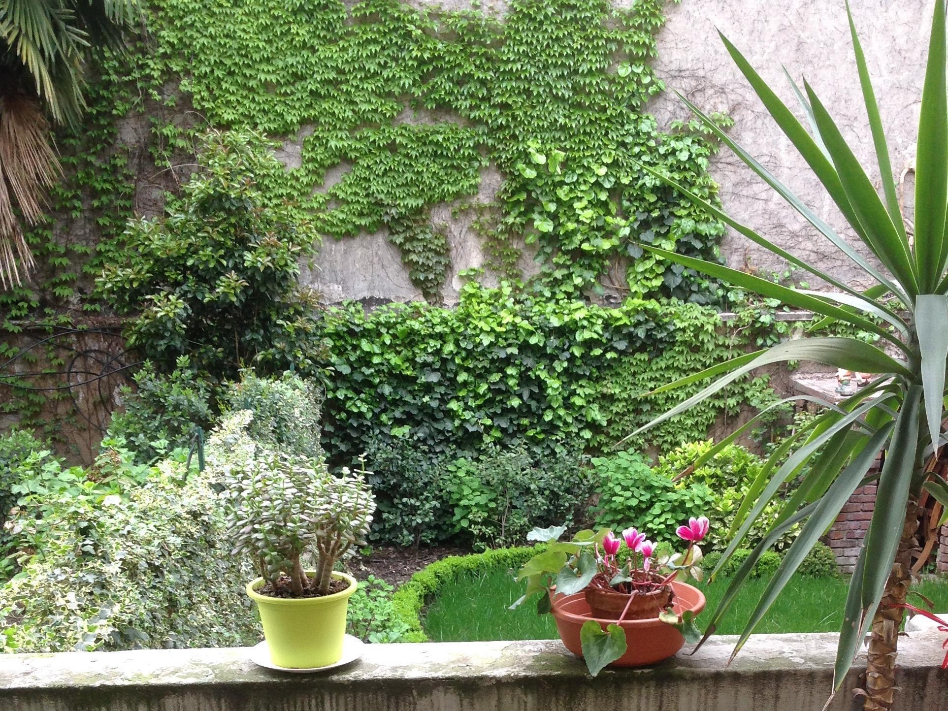 Hostel Lumiere