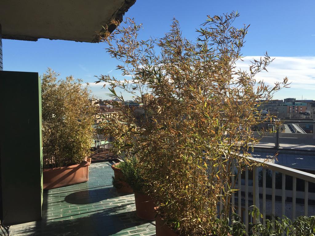 Mita Life Roof Garden