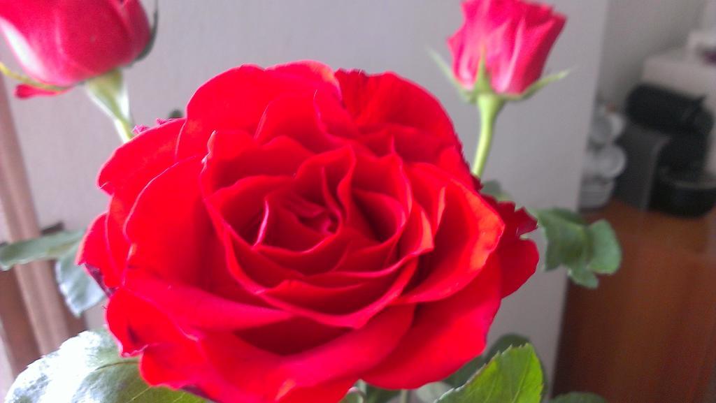 Bed & Breakfast Le Due Corti Milano Milan