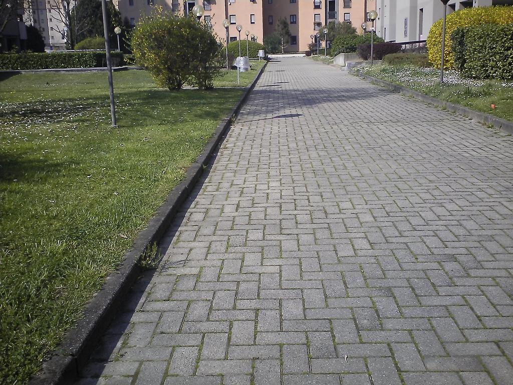 D'ambrosio Milan