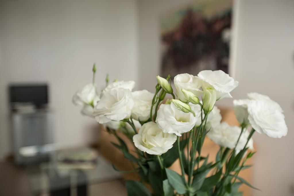 Apartment Nino Milan